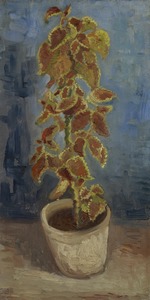 Gogh, Vincent, van - Flame Nettle in a Flowerpot