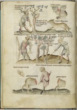 Hautscilt, Lubertus - Liber Astrologiae