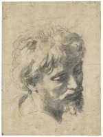 Raphael (Raffaello Sanzio da Urbino) - Head of a Young Apostle