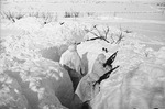Anonymous - A fighting hole of the Red Army