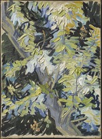 Gogh, Vincent, van - Acacia Flowering