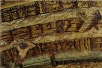 Botticelli, Sandro - Inferno. (Abyss of Hell). Illustration to the Divine Comedy by Dante Alighieri (Detail)