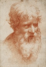 Parmigianino - Bearded man's head