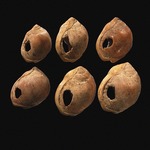 Middle Stone Age - Perforated shell beads from Blombos Cave, South Africa. The oldest artifact of mankind