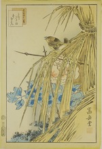 Sugakudo, Nakayama - Winter Wren and WInter Peony, from the series Forty-eight Hawks Drawn from Life