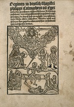 Anonymous - Title page of Regimen wider die Pestilenz by Philipp Culmacher