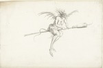Saftleven, Cornelis Hermansz. - Monstrous witch on a broom