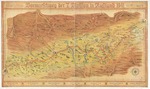 Anonymous master - Operation Barbarossa. The route of the 7th Infantry Division from Warsaw to Moscow