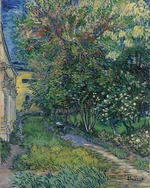 Gogh, Vincent, van - The garden at the asylum at Saint-Rémy