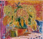 Bonnard, Pierre - Mimosa Bouquet