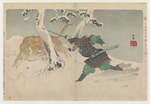 Ginko, Adachi - Fighting a tiger in snow