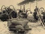 Anonymous - The food brigade (Prodotryad) in Siberia