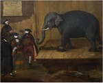 Longhi, Pietro - The Elephant