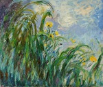 Monet, Claude - Yellow irises