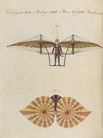 Pupils of the Weimar Princely Free Drawing School - Children's Picture Book (Children's encyclopaedia) by Friedrich Johann Justin Bertuch