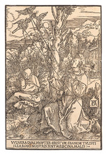 Dürer, Albrecht - Saint Francis Receiving the Stigmata