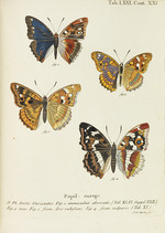 Esper, Eugen Johann Christoph - Die Schmetterlinge (The butterflies)