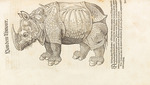 Gesner (Gessner), Conrad (Konrad) - Rhinoceros. From Historia animalium