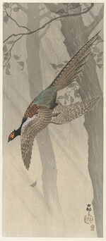 Ohara, Koson - Flying pheasant