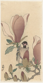 Ohara, Koson - Sparrow on blooming magnolia branch