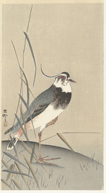 Ohara, Koson - Lapwing and reed