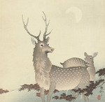 Ohara, Koson - Two Deer