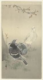 Ohara, Koson - Three tame pigeons