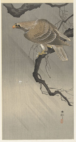 Ohara, Koson - Eagle on branch