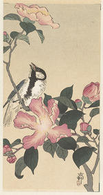 Ohara, Koson - Great tit on branch with pink flowers