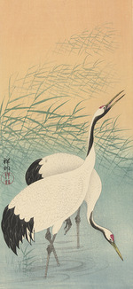 Ohara, Koson - Two cranes