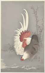 Ohara, Koson - Rooster and chicken
