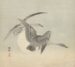 Ohara, Koson - Two geese in flight