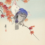 Ohara, Koson - Two pigeons on autumnal branch