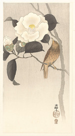 Ohara, Koson - Songbird and blooming camellia