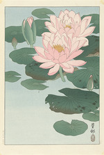 Ohara, Koson - Water Lilies