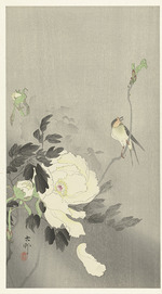 Ohara, Koson - Bird and peony