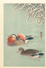 Ohara, Koson - Mandarin ducks