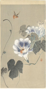 Ohara, Koson - Insects in bindweed