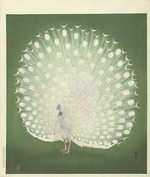Ohara, Koson - Peacock