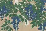 Sekka, Kamisaka - Wisteria (Fuji). From the series A World of Things (Momoyogusa)