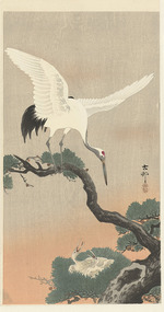 Ohara, Koson - Japanese cranes on branch of pine tree