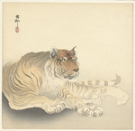 Ohara, Koson - Tiger
