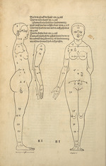 Dürer, Albrecht - Illustration from the Four Books on Human Proportion