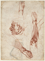 Buonarroti, Michelangelo - Male head in profile, studies of limbs