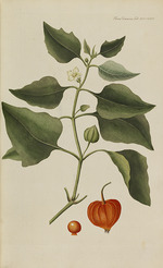 Oeder, Georg Christian Edler - Flora Danica