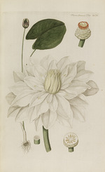 Oeder, Georg Christian Edler - Flora Danica