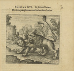Merian, Matthäus, the Elder - Emblem 16. This lion has no wings, the other has. From Atalanta fugiens by Michael Maier