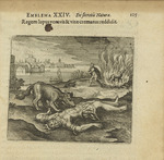 Merian, Matthäus, the Elder - Emblem 24. A wolf devoured the king, and being burnt it restored him to life again. From Atalanta fugiens by Michael Maier
