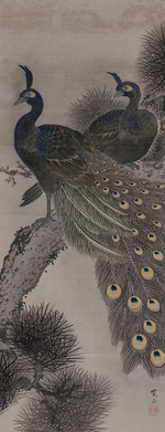 Kanpo, Araki - A pair of peacocks on a pine tree