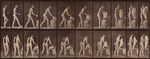 Muybridge, Eadweard - Animal Locomotion. Plate 415